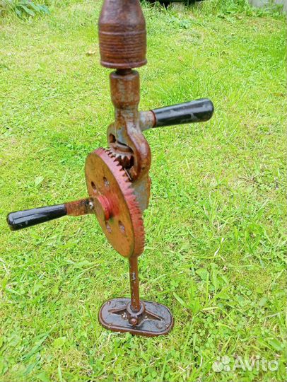 Коловорот старинный