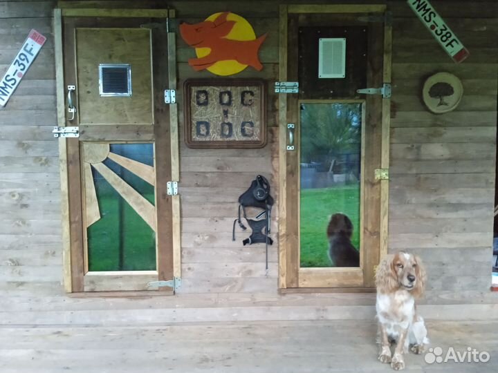 Зоогостиница для собак
