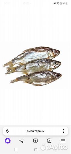 Охота и рыбалка