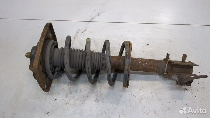 Амортизатор подвески Peugeot Expert, 2006