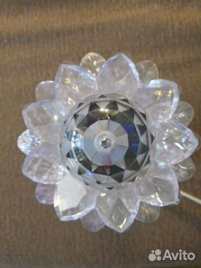 Диско-шар (цветок)