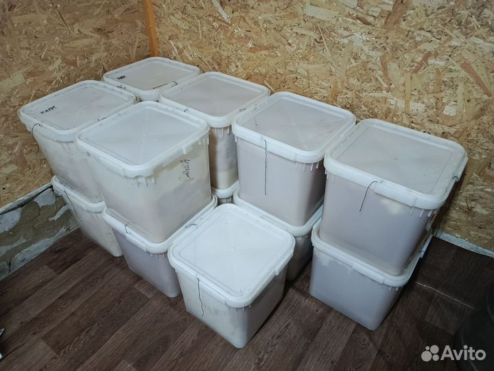 Мед разнотравье, рапс