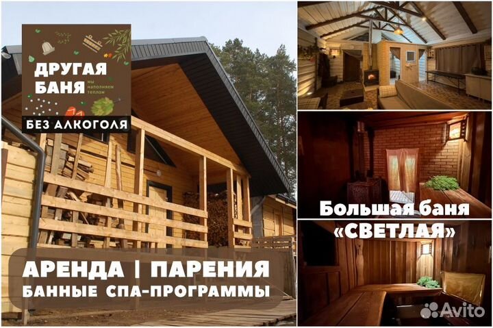 Русские бани на дровах в сосновом бору