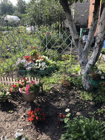 Дача 42 м² на участке 4 сот.