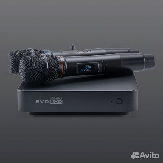 Караоке Evobox Plus черный