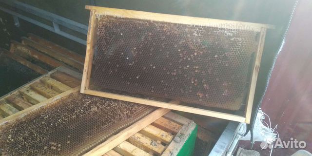 Сушь рамки рута