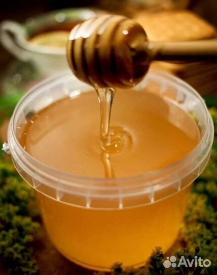 Мед алтайский