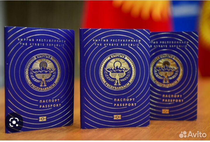 Процедура получения гражданства Кыргызстана
