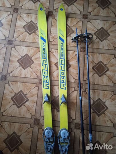 Горные лыжи