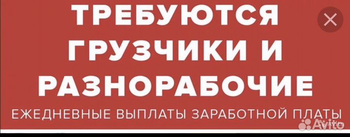 Грузчики ежедневные выплаты