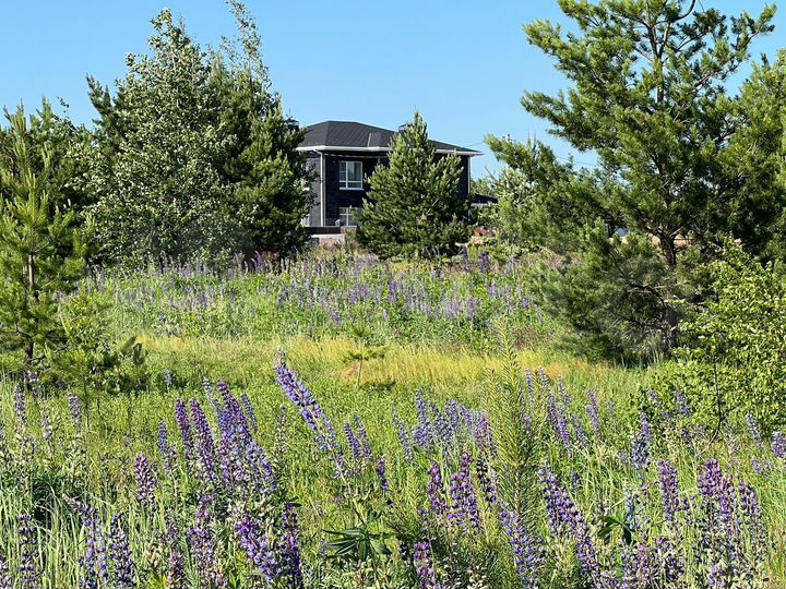 Участок 6,3 сот. (ИЖС)