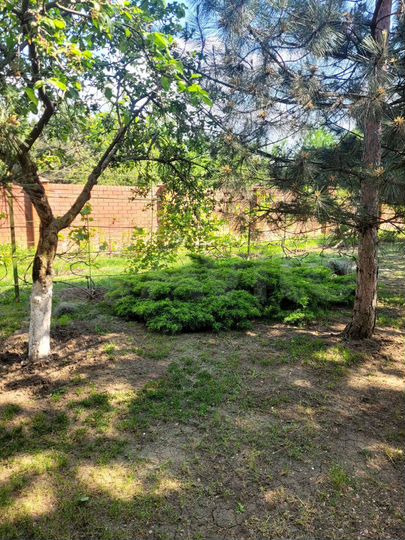 Дом 386 м² на участке 13,8 сот.