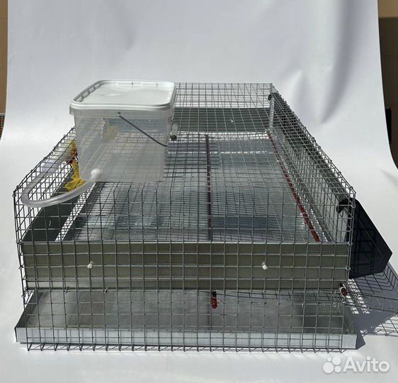 Клетки для перепелов