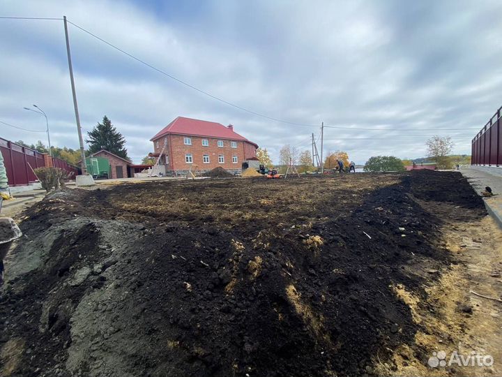 Свежий Элитный рулонный газон с укладкой