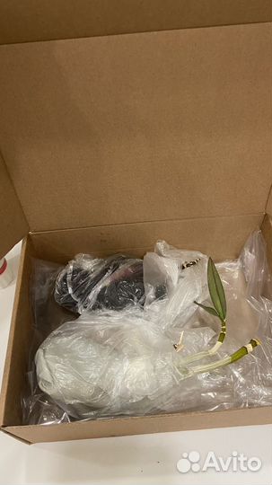 Клематис декоративный под заказ