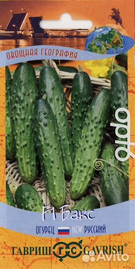 Рассада огурцов 