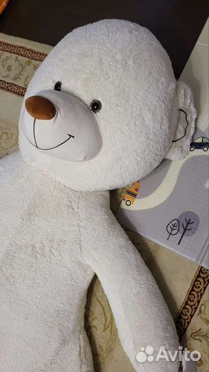 Медведь большой