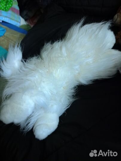 Мягкие игрушки. Лев, тигр, щенок, ангри бёрдс, пёс