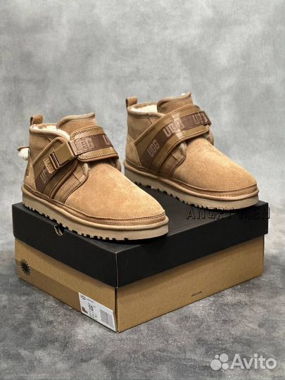 Ugg Мужские (42)