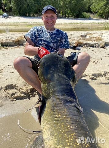 Трофейная рыбалка на сомов и судаков