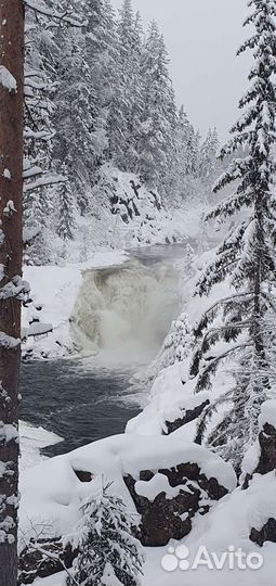 Пассажирские перевозки микроавтобус