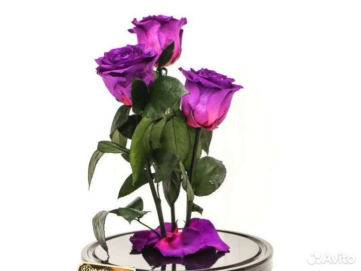 Цветы оптом