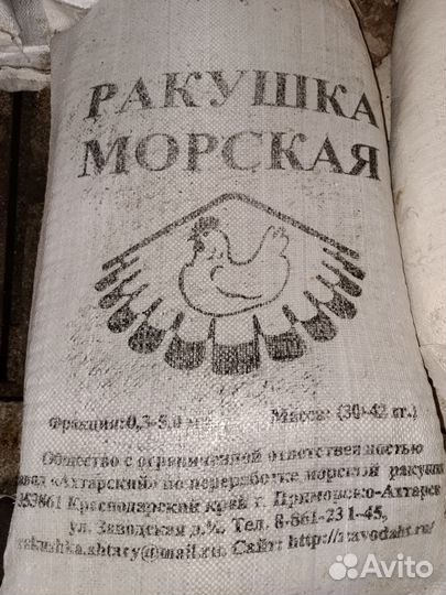 Ракушка морская кормовая