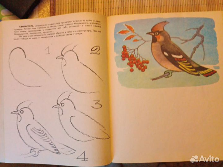 Альбом для раскрашивания СССР