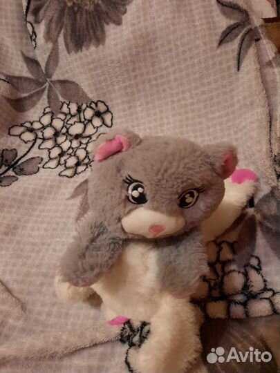 Кот и собачка