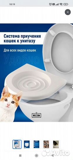 Система приучения кошек к унитазу