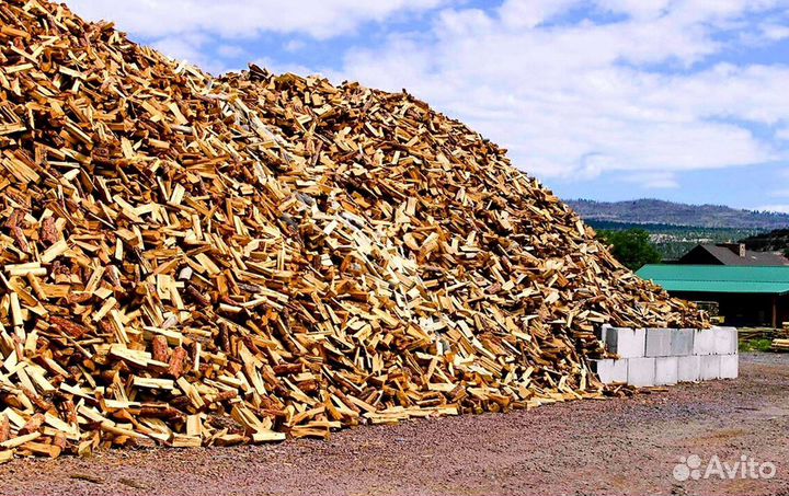 Дрова в область