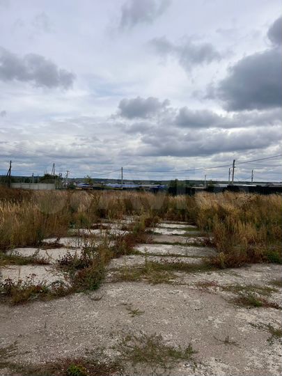 Производство, 1950 м²