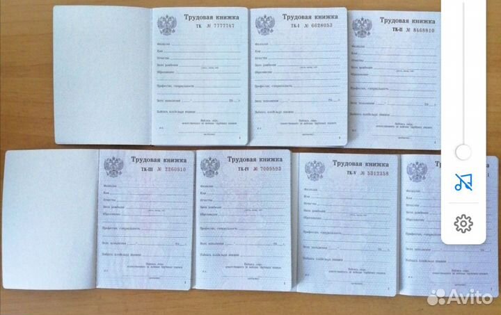 Трудовые книжки