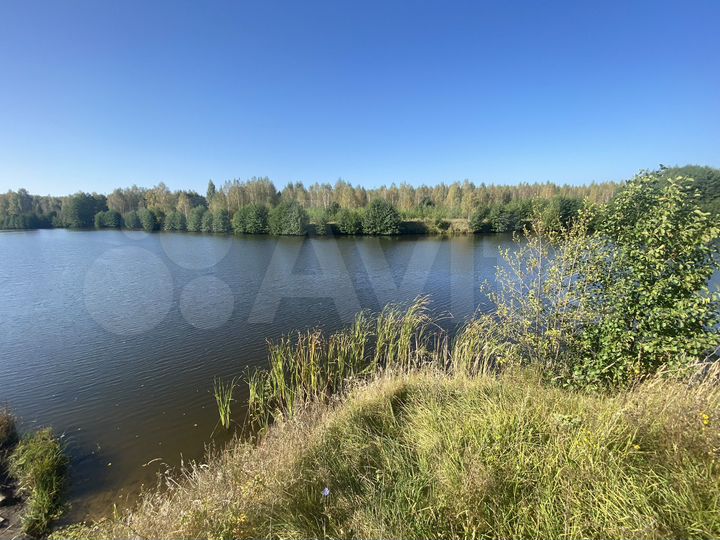 Участок 6 га (СНТ, ДНП)