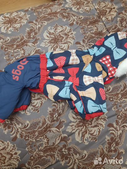 Зимний комбинезон для собаки