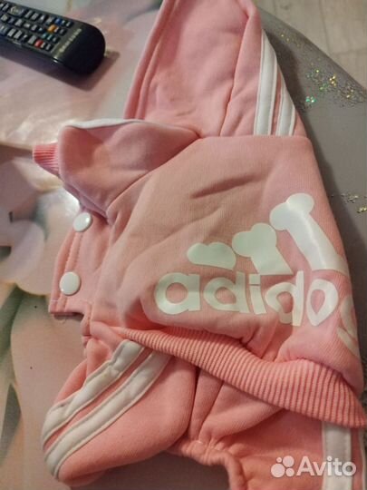 Одежда для маленькой собаки