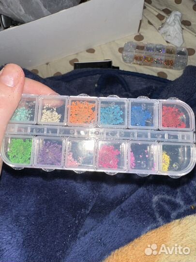 Цветы сухоцветы для ногтей