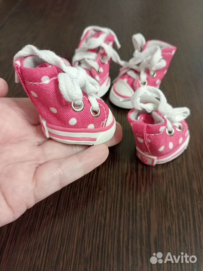 Обувь для маленьких собак