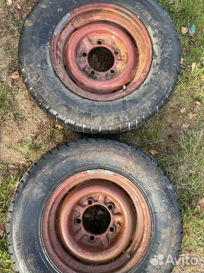 Volcano Longitude 4/65 R15