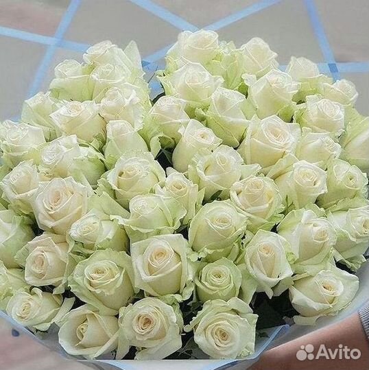 Розы Букеты Цветы Розы 31 101 151 201 Доставка