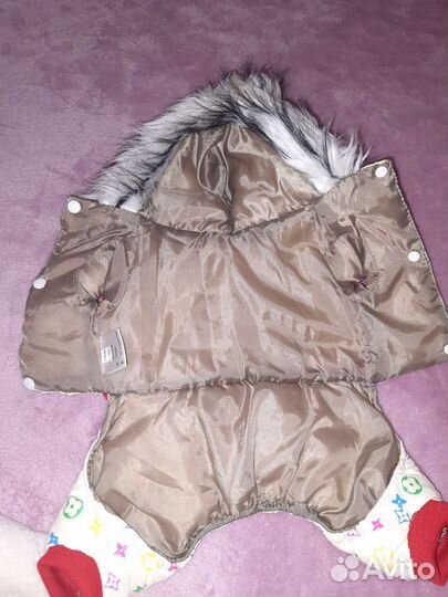 Одежда для собак