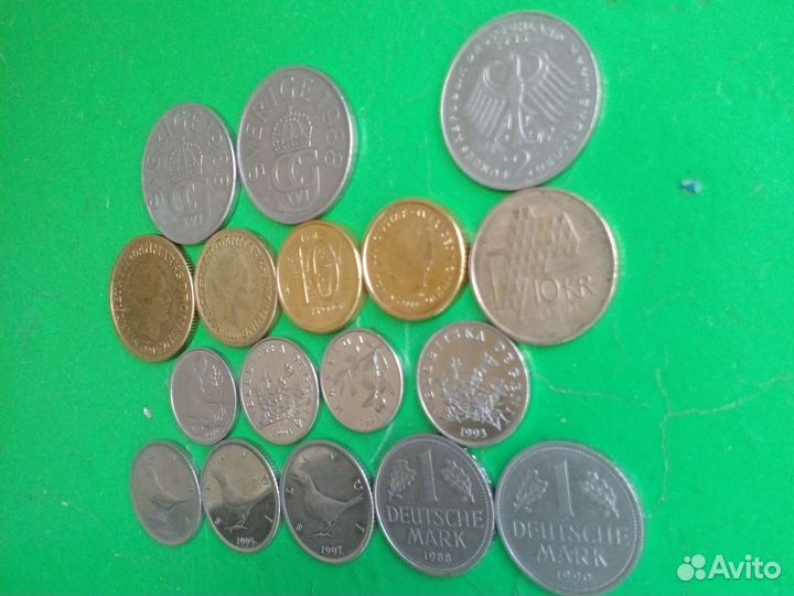 Гон Конг Китай Казахстан Швеция Хорватия