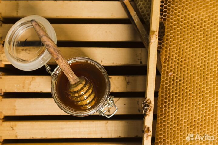 Мёд - разные сорта, оптом, пасека. Мурманск