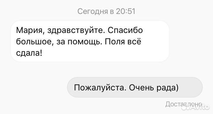 Репетитор по русскому языку и литературе