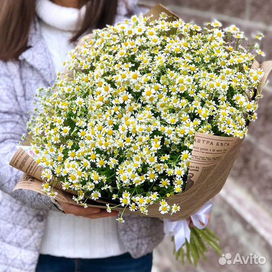 Букет ромашки