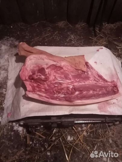 Мясо свинина
