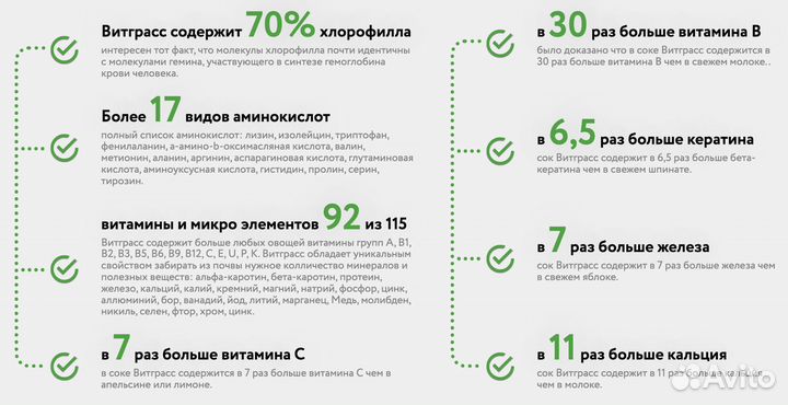 Витграсс, зеленый фреш сок