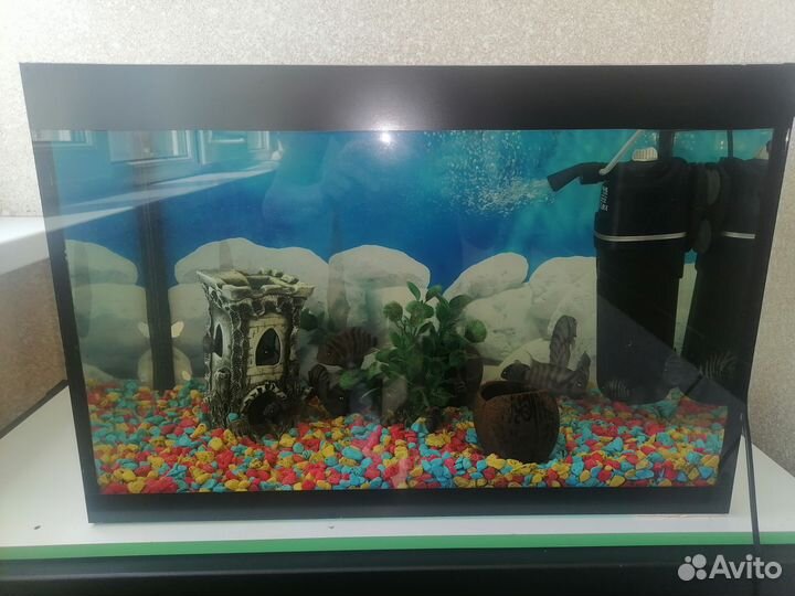 Аквариум