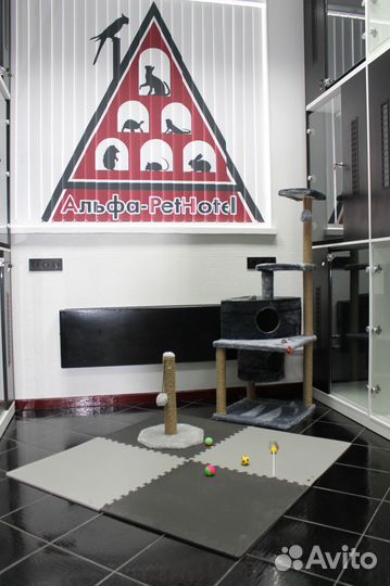 Зоогостиница, Передержка, Гостиница для кошек