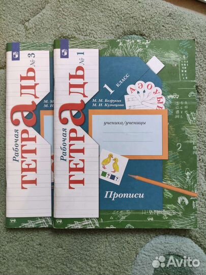 Рабочая тетрадь 1 класс М.М. Безруких